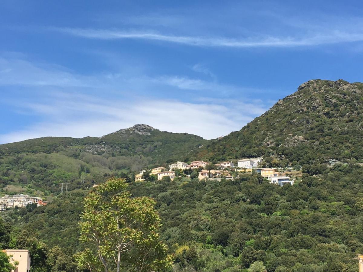 Charmant T2 Hauteurs De Bastia Бастия Экстерьер фото